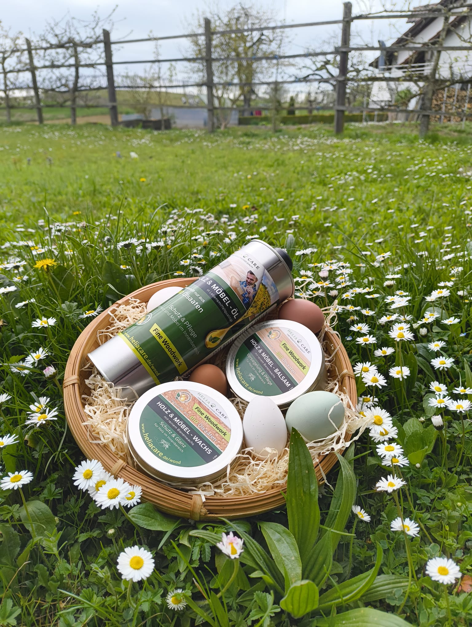 Oster Aktion: Fine Woodwork Öl + Balsam + Wachs
